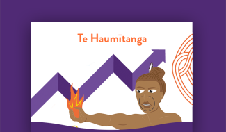 Te Haumitanga Infographic